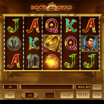 Winningz Casino - Book of Dead Slot